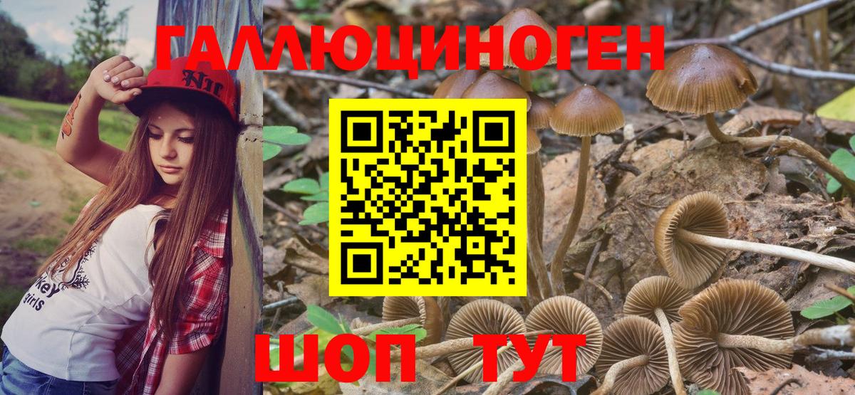 Южноуральск  Галлюциногенные грибы GOLDEN TEACHER  Вход с VPN 